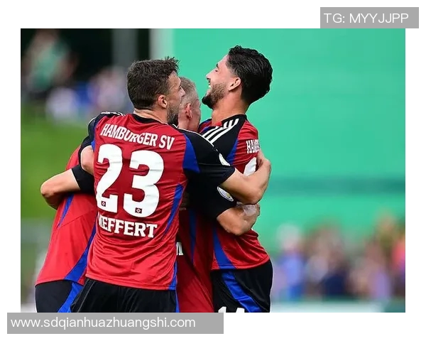 汉诺威96主场失利,陷入低迷状态:背后的原因与未来的挑战 汉诺威96主场失利,陷入低迷状态:背后的原因与未来的挑战